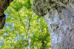 PXL_20250918_1008295732