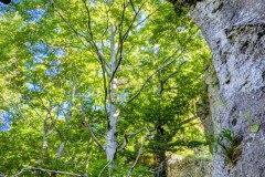 PXL_20250918_1011196602