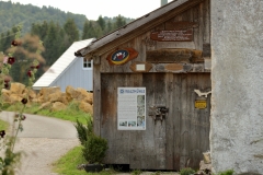 Walzmühle