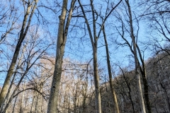 Wanderu ng Lache, Breitenbachquelle 07.03.2025