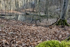 PXL_20250307_1223042042