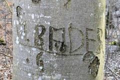 PXL_20250307_1227517712