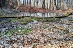 PXL_20250307_125448640.PANO2_