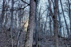 PXL_20250307_1302282092
