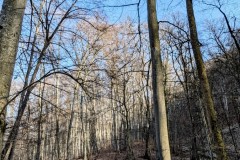 PXL_20250307_1306076912