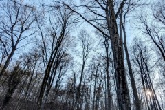 PXL_20250307_1308290952