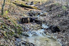 PXL_20250307_133313522.LONG_EXPOSURE-01.COVER3_