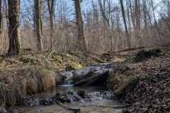 PXL_20250307_134015548.LONG_EXPOSURE-01.COVER_