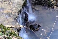 PXL_20250307_145357730.LONG_EXPOSURE-01.COVER2_