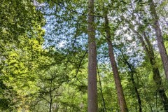 PXL_20240925_1041292632