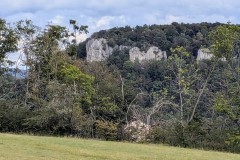 PXL_20240925_124412950