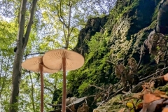 Wanderung Pfullingen, Übersberg. Eninger Weide, Eningern, Pfullingen 