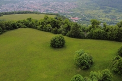 Schönberg