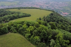 Schönberg