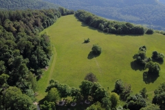Schönberg