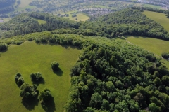 Schönberg