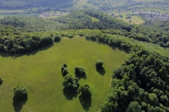 Schönberg