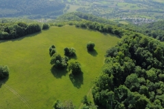 Schönberg