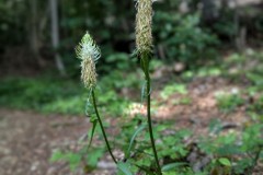 PXL_20250601_1353251002