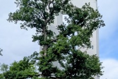 PXL_20250601_1434215173