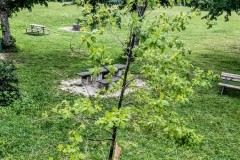 PXL_20250601_1440227162