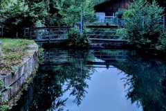 PXL_20250601_194016074.NIGHT2_