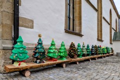 PXL_20221125_1127120212-012