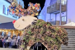 1_PXL_20251128_203239695.NIGHT2_