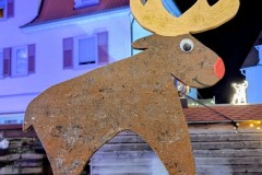 1_PXL_20251128_203442009.NIGHT2_