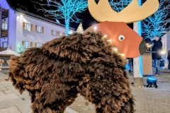 PXL_20251128_202027533.NIGHT2_