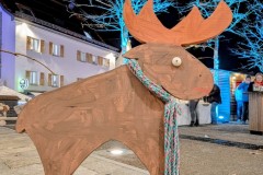 PXL_20251128_202044089.NIGHT2_