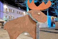 PXL_20251128_202044089.NIGHT3_