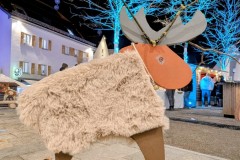 PXL_20251128_202102975.NIGHT2_