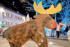 PXL_20251128_202127399.NIGHT2_