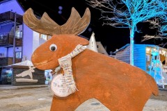 PXL_20251128_202153301.NIGHT2_