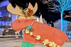 PXL_20251128_202204425.NIGHT2_