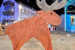 PXL_20251128_202220754.NIGHT2_