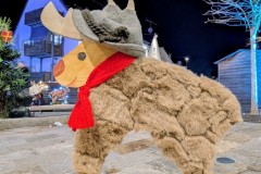 PXL_20251128_202243335.NIGHT2_