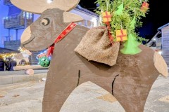 PXL_20251128_202250947.NIGHT3_