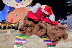 PXL_20251128_202304658.NIGHT2_