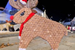 PXL_20251128_202334495.NIGHT2_