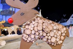 PXL_20251128_202354933.NIGHT2_