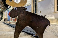 PXL_20251128_202414010.NIGHT2_