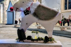 PXL_20251128_202653686.NIGHT2_