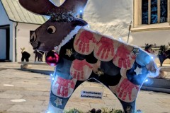 PXL_20251128_202716947.NIGHT2_