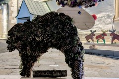 PXL_20251128_202733387.NIGHT2_