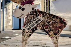 PXL_20251128_202754169.NIGHT2_