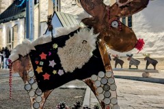 PXL_20251128_202824258.NIGHT2_