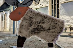 PXL_20251128_202901567.NIGHT2_