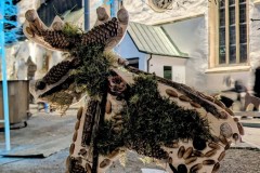 PXL_20251128_202932999.NIGHT2_